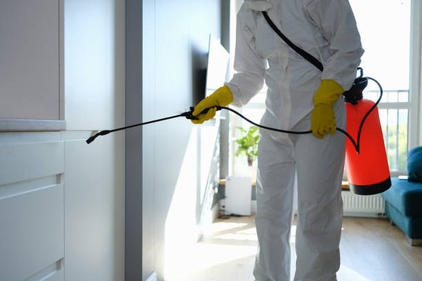 Attic Mold Removal in Hart, MI