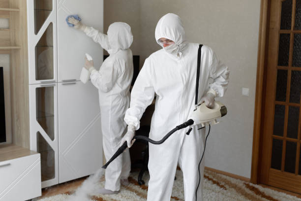 Best Commercial Mold Removal  in Hart, MI